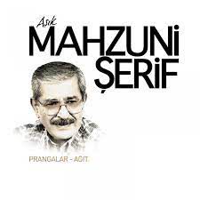 Bende Bir İnsan Oğluyum-cover