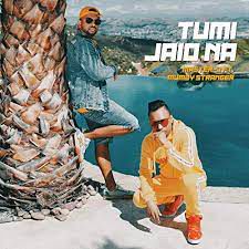 master-dmumzy-stranger-tumi-jaio-na-cover-image