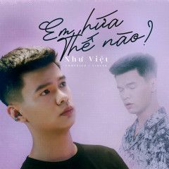 Em Hứa Thế Nào-cover