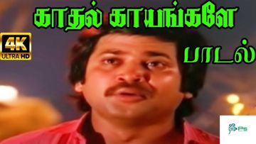 Kaadhal Kaayangale - Aangalai Nambathey - HQTL - Prakash Rathinam-cover