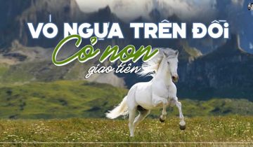 VÓ NGỰA TRÊN ĐỒI CỎ NON