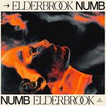 Numb-cover