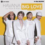 Big Love(Orbel Remix)-cover