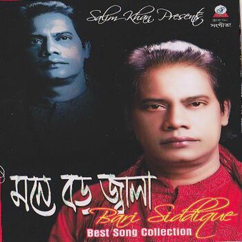 bari-siddiqui-amar-gaye-joto-dukkho-cover-image