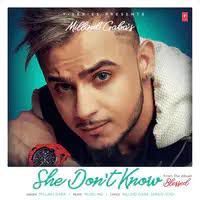 She Don't Know-cover
