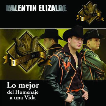 Aunque Te Enamores-cover