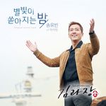 별빛이 쏟아지는 밤-cover