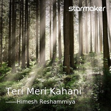 Teri Meri Kahani-cover