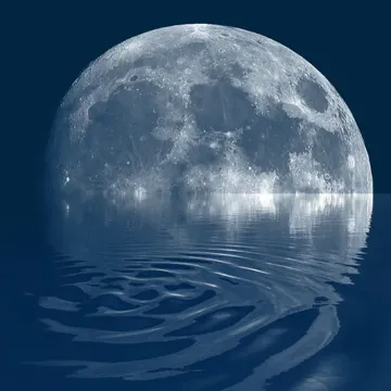 I Watch The Moon-cover