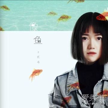 像魚