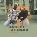 Habibi - Remix-cover