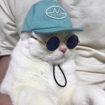 coveImg