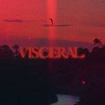 Visceral-cover