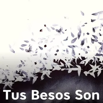 Tus Besos Son-cover
