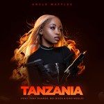 Tanzania-cover
