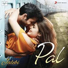 Pal-cover