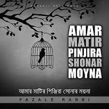আমার মাটির পিঞ্জিয়ায়-cover