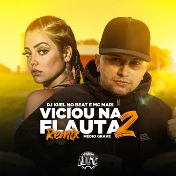 Viciou na Flauta 2 - Médio Grave (Remix)-cover
