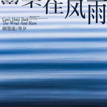 留不住风雨-cover
