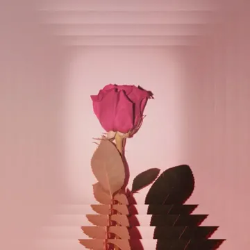 coveImg