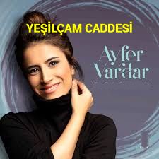 Pencereden Kar Geliyor-cover