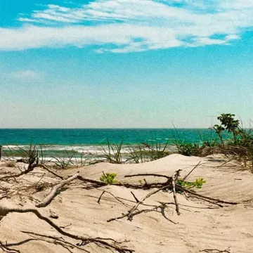 BEACHBOY!-cover