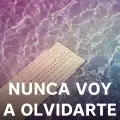 Nunca Voy A Olvidarte-cover