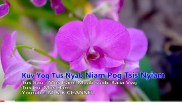 Kuv Yog Tus Nyab Niam Pog Tsis Nyiam