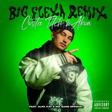 Big Flexa (Remix)-cover
