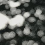 All in (Prod.Timyoue1e)