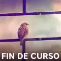 parchis-fin-de-curso-cover-image