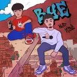 Bye-cover