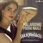 Malarudhu Pudhu Naale-cover