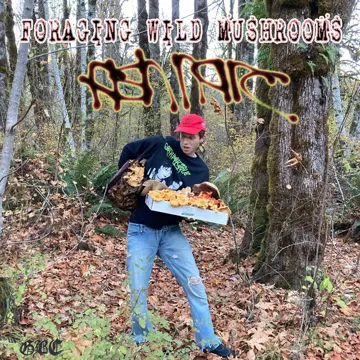 Let's Go (feat. (Hook & Nedarb)-cover