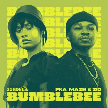 Bumblebee-cover