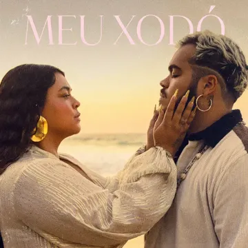 Meu Xodó-cover