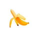 父與子（父親不讓我出門，因爲…）