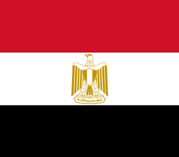 فيها حاجه حلوة