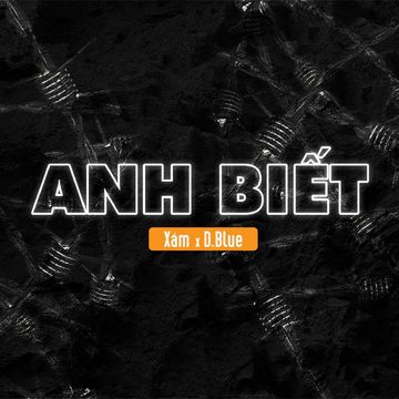 Anh Biết-cover