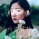 Mirror(万人合唱版)-cover