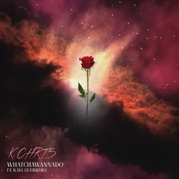 Whatchawannado-cover