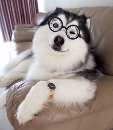 coveImg