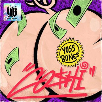 Co$hi-cover