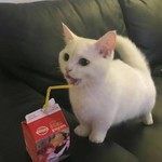 coveImg