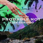 Probably Not(Diviners Remix)-cover