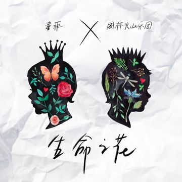 生命之花-cover