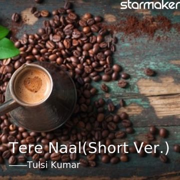 tulsi-kumarakhil-sachdeva-tere-naalshort-ver-cover-image