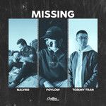 Missing-cover
