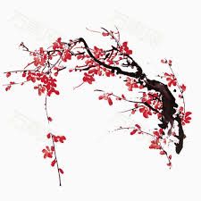雪中红-cover