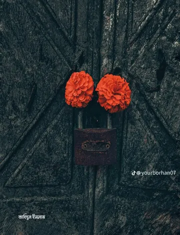 coveImg